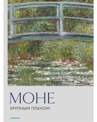 Моне. Крупным планом