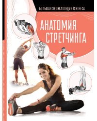 Анатомия стретчинга