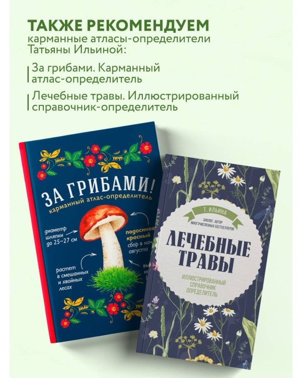 Аптечный огород. Справочник по сбору, хранению и применению целебных растений (новое оформление)