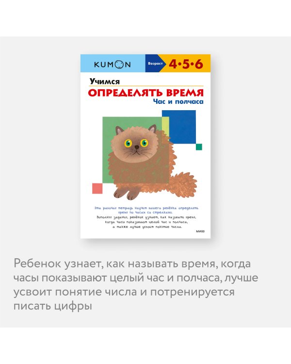 Учимся определять время. Час и полчаса