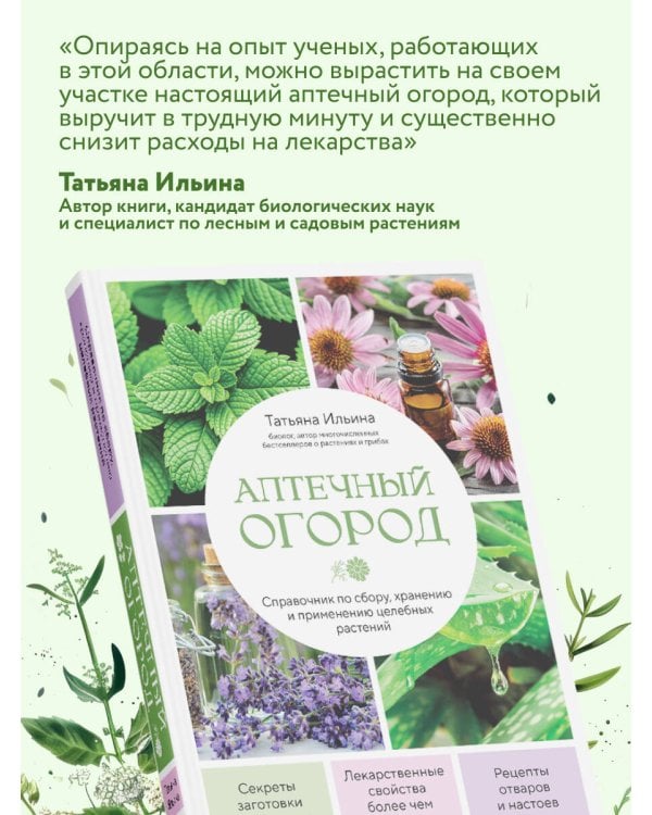 Аптечный огород. Справочник по сбору, хранению и применению целебных растений (новое оформление)