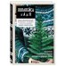 ЛОПАПЕЙСА от А до Я. Полное пошаговое руководство по вязанию настоящего исландского свитера