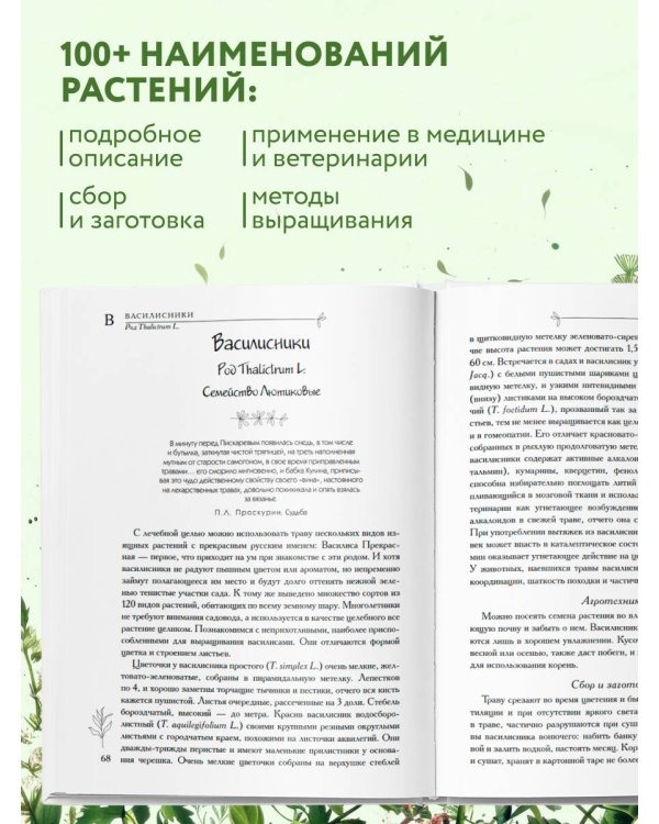 Аптечный огород. Справочник по сбору, хранению и применению целебных растений (новое оформление)