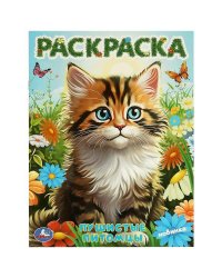 Пушистые питомцы. Раскраска. 214х290  мм. Скрепка. 16 стр. Умка в кор.50шт