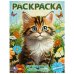 Пушистые питомцы. Раскраска. 214х290  мм. Скрепка. 16 стр. Умка в кор.50шт