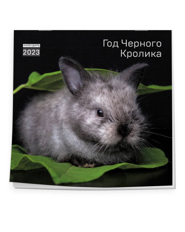 Год черного кролика. Календарь настенный на 2023 год (300х300 мм)