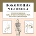 Анатомические поезда Локомоция человека. Протокол обследования, оценка, лечение и профилактика травм, связанных с циклом походки