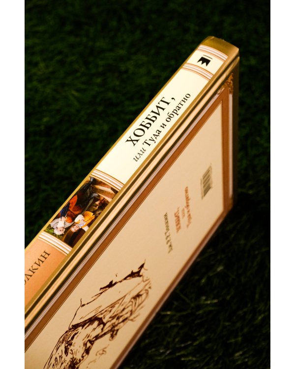 Хоббит, или туда и обратно с иллюстрациями Дениса Гордеева (новый перевод)