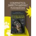 Домашние питомцы. Уход, здоровье, воспитание Дрессировка и воспитание собаки