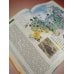Дополнительное изображение книги «Мир и человек. Полный иллюстрированный географический атлас (в новых границах) Т»
