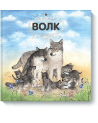 Животные в природе. Волк