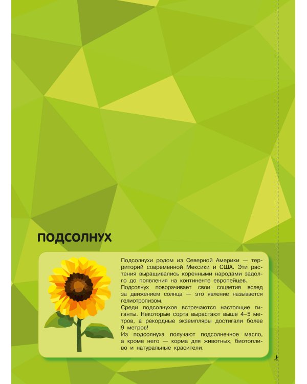 Магия цветов