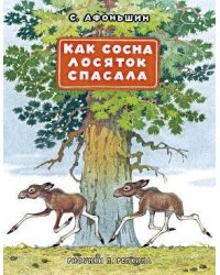 Как сосна лосяток спасала