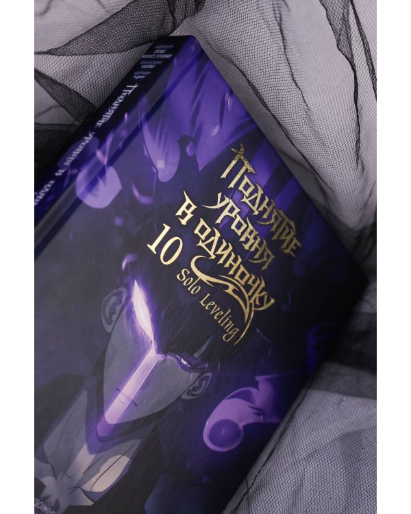 Поднятие уровня в одиночку. Solo Leveling. Том 10 (вебтун)