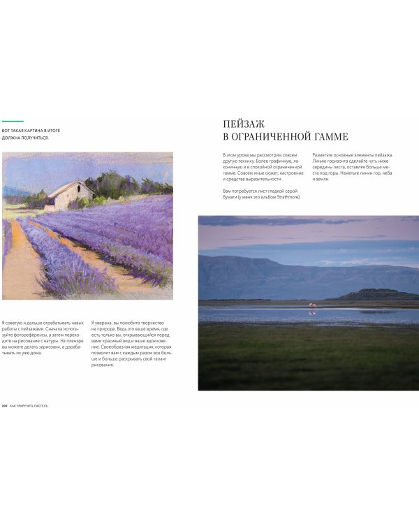 Как приручить пастель: полный курс от Елены Таткиной
