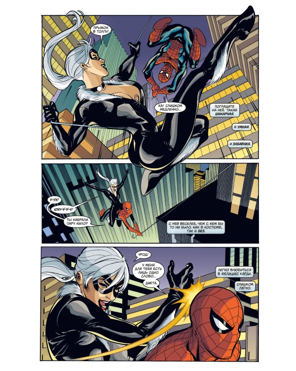 Человек-паук и Чёрная Кошка. Зло, что творят мужчины