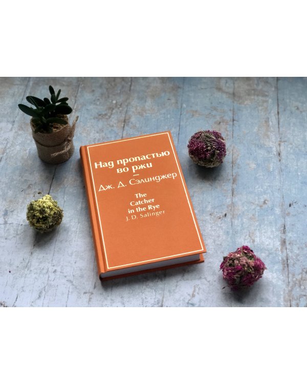 Над пропастью во ржи