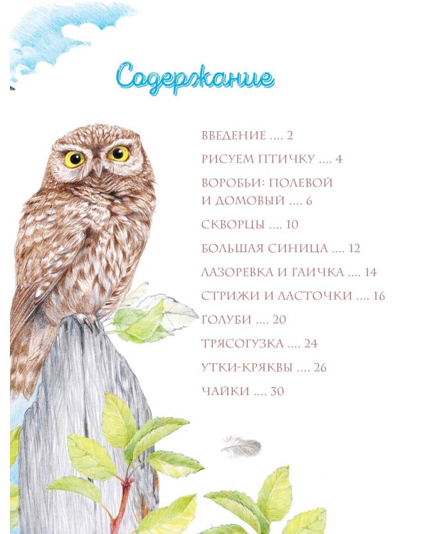 Птицы в городе