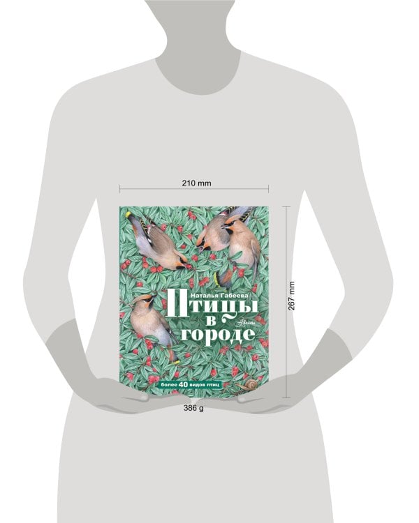 Птицы в городе