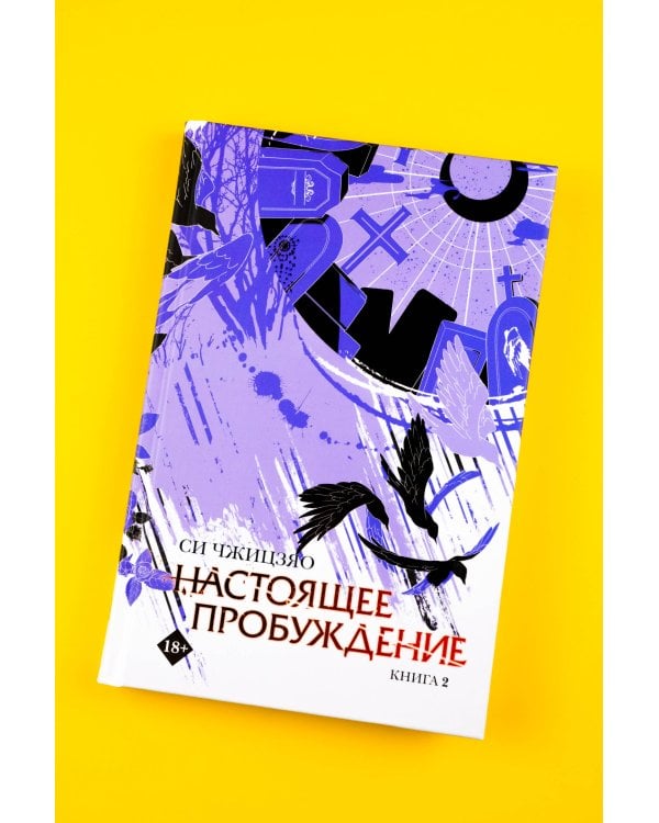 Настоящее пробуждение. Real Awakening. Книга 2