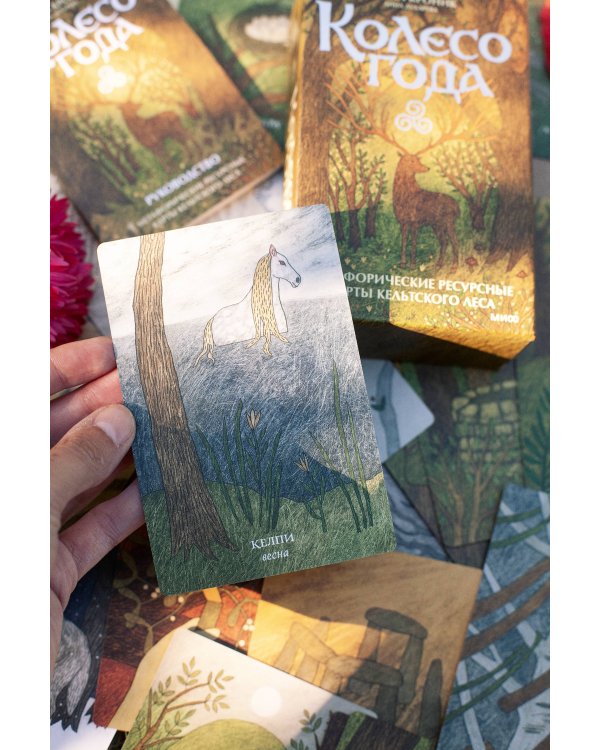 Колесо года. Метафорические ресурсные карты кельтского леса
