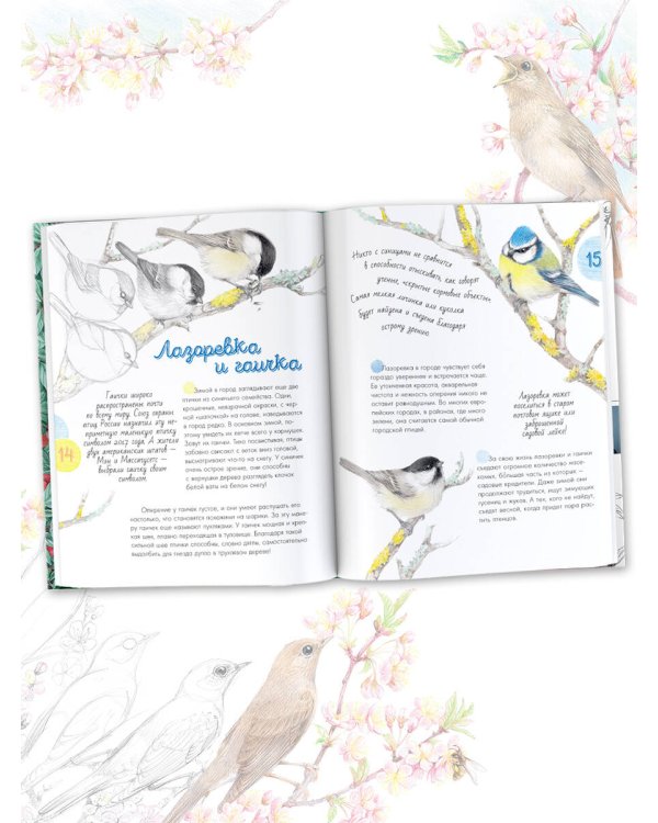 Птицы в городе