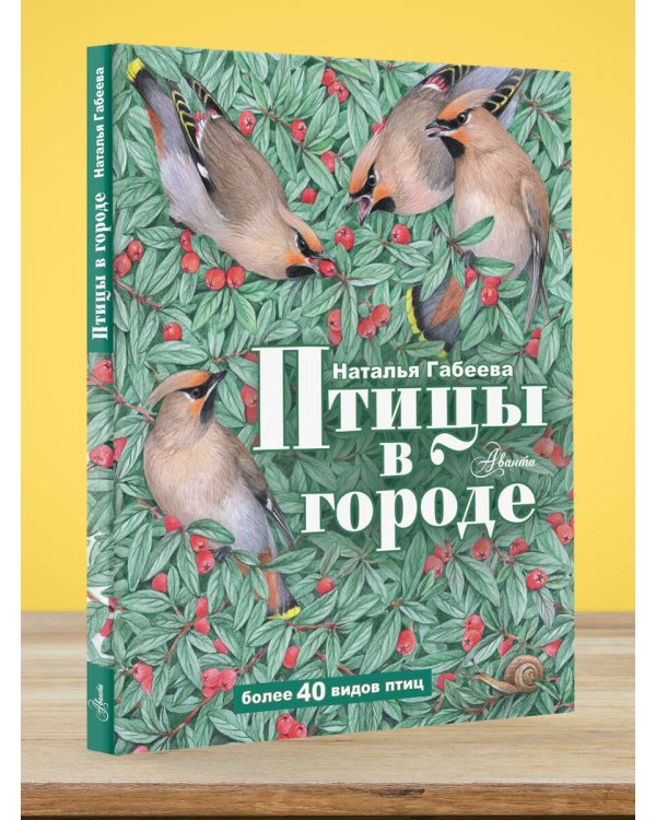 Птицы в городе