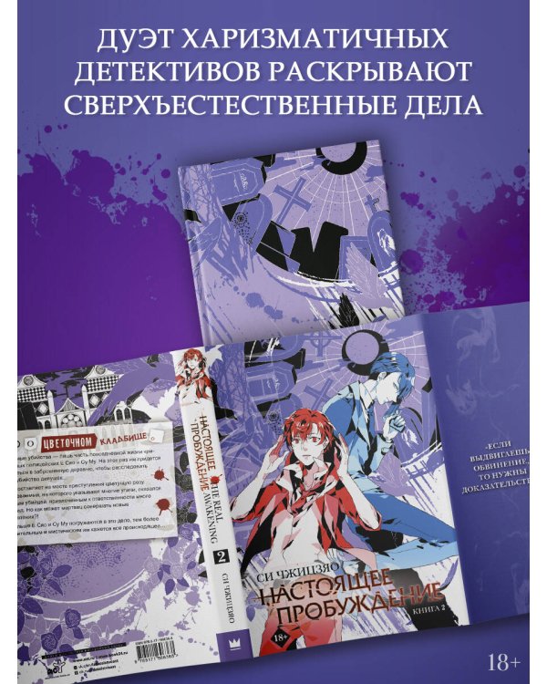 Настоящее пробуждение. Real Awakening. Книга 2