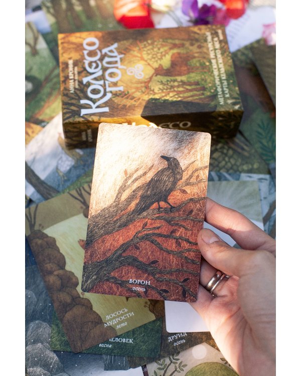 Колесо года. Метафорические ресурсные карты кельтского леса