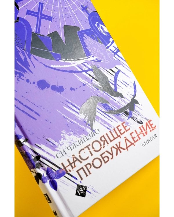 Настоящее пробуждение. Real Awakening. Книга 2
