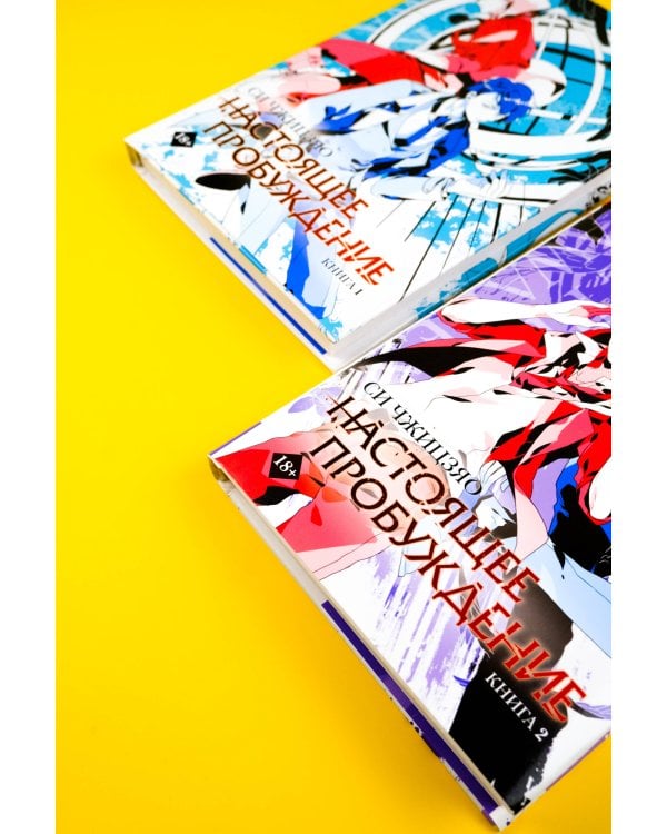 Настоящее пробуждение. Real Awakening. Книга 2