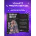 Иконы мировой музыки: жизнь по ту сторону сцены Тейлор Свифт: История жизни со слов певицы