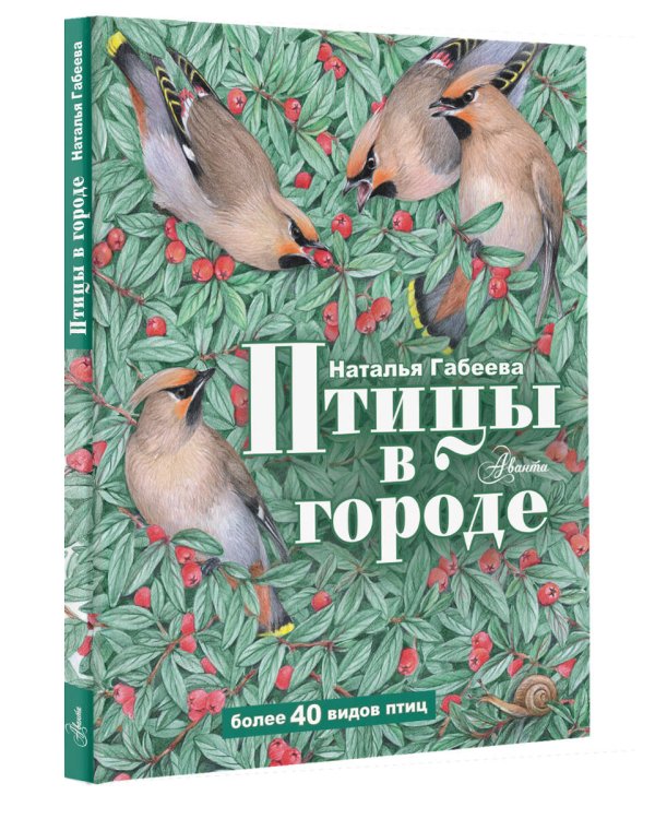 Птицы в городе