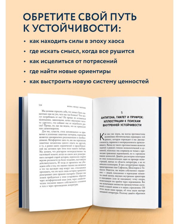 Жизнь между мирами. Как найти внутреннюю опору во времена перемен