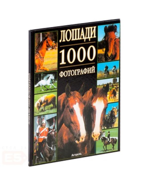 Дополнительное изображение книги «Лошади»