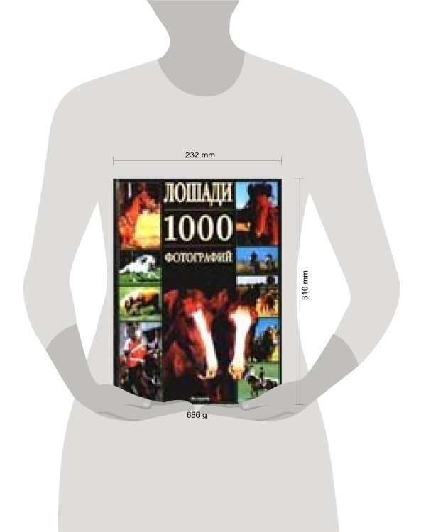 Дополнительное изображение книги «Лошади»