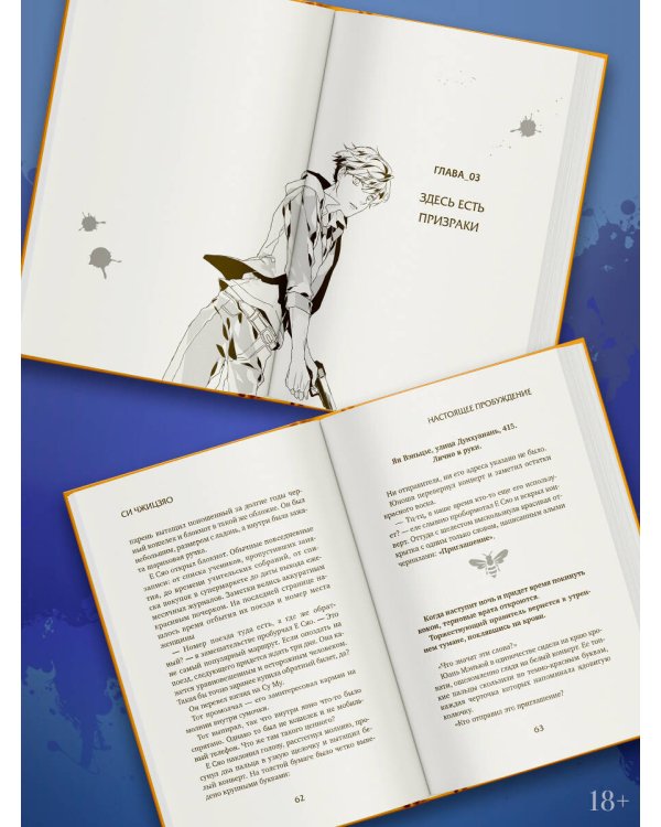 Настоящее пробуждение. Real Awakening. Книга 3