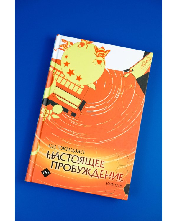 Настоящее пробуждение. Real Awakening. Книга 3