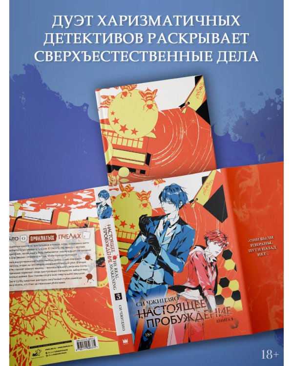 Настоящее пробуждение. Real Awakening. Книга 3