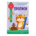 Готовимся к школе по интенсивной методике Прописи