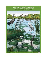 Плакат. Кто на болоте живет