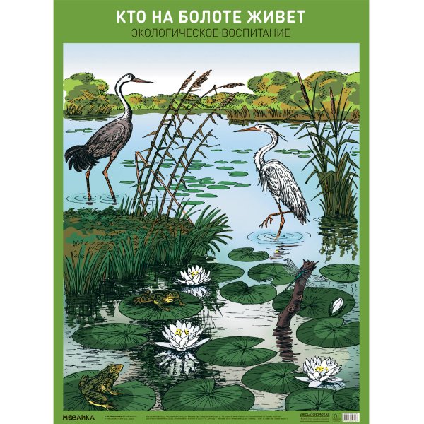 Обложка книги «Плакат. Кто на болоте живет», ISBN 9785431527067