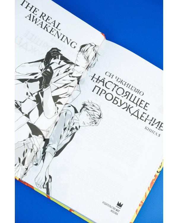 Настоящее пробуждение. Real Awakening. Книга 3