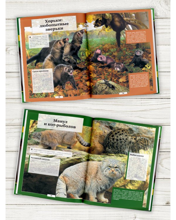 Животные нашей планеты