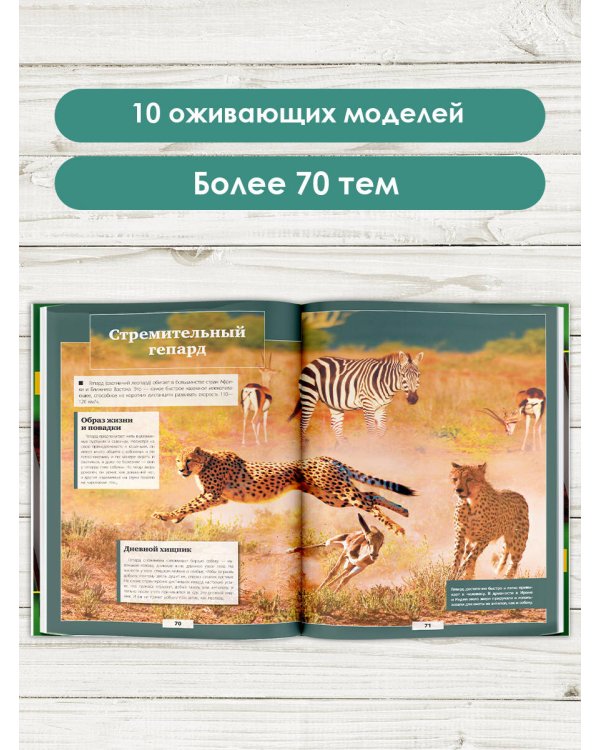 Животные нашей планеты