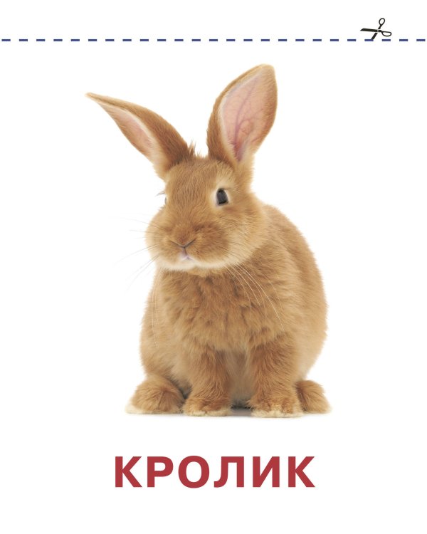 Развивающие карточки Домана для малышей комплект из 6 книг