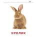 Развивающие карточки Домана для малышей комплект из 6 книг
