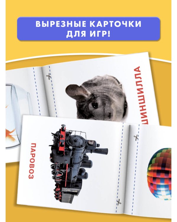 Развивающие карточки Домана для малышей комплект из 6 книг