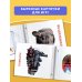 Развивающие карточки Домана для малышей комплект из 6 книг