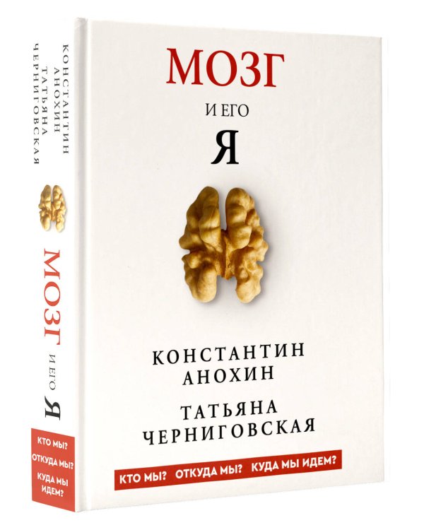 Мозг и его “Я”. Кто мы? Откуда мы? Куда мы идем?